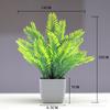 Venda quente transfronteiriça Simulação de planta Planta falsa Planta verde Decoração interna e externa Simulação de eucalipto em vaso de plástico Planta pequena em vaso