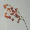 Flores Artificiais de Alta Qualidade para Lanterna, Árvore de Lanterna, Frutas e Flores para Decoração de Casa, Adereços de Foto, Celebrações de Casamento e Arranjos de Mesa