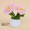 Producto Terminado: Ramo de Planta Pequeña en Maceta con Palo Retorcido DIY, Decoración de Escritorio de Oficina, Regalo para Amigos, Regalo del Día del Maestro