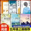 Quinto Ano Primeiro Semestre Leitura Feliz: Histórias Folclóricas Chinesas Livros de Leitura Extracurricular Essenciais, Conjunto Completo de 4 Volumes, Europa