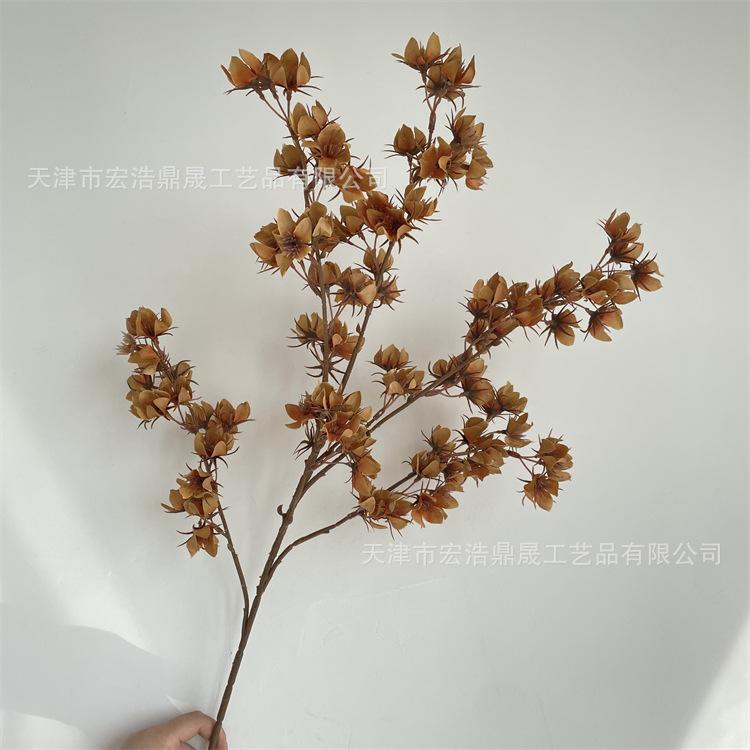 微信图片_202209081727136