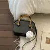 Bolsa Cruzada de Hombro con Diseño de Nicho al por Mayor Transfronteriza 2025 Nuevo Diseño de Moda Textura Bolso Portátil Tipo Concha para Mujer