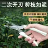 Tijeras de podar de rama de acero inoxidable para recoger frutas y flores, Herramienta de tijeras de jardinería para injerto de ramas de árboles frutales y flores del jardín