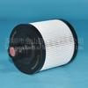 Filtro de Combustible Gigante Jinshan L111000000366 L111000000692 UF0626-007