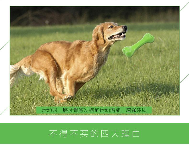 互动磨牙骨_05