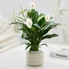 Plantas Pequenas em Vasos para Interior Bbk, Plantas Verdes Fáceis de Cuidar para Mesas de Escritório, Bonsai Florido para Todas as Estações