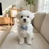 4 Peças de Gola de Renda para Cachorros Gatos, Gola Princesa Ajustável Macia com Laço de Veludo e Pérola, Adereço Fofo para Fotos de Pets para Todas as Estações