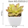 Planta Suculenta Simulada Maceta de Plástico Bonsái Mini Pequeña Cuadrada Planta en Maceta Es0510 Alta Simulación Planta Verde