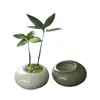 Maceta Pequeña, Planta Suculenta Verde, Ciprés de Bambú, Cerámica Esmaltada Agrietada por Hielo Hecha en Horno Maceta para Mesa Interior y Exterior con Agujeros Adornos de Cerámica
