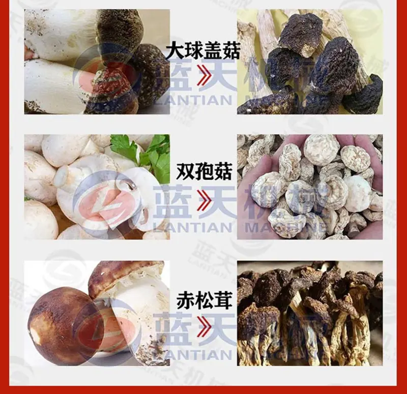 详情_01-2.jpg