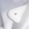 Piercing de Nariz Garra de Dragão de Quatro Cores e Cinco Garras com Zircônia Incrustada em Cobre, Piercing de Nariz em Aço Inoxidável em Forma de L, Adorno de Nariz 7 em Aço Titânio, Novo Estilo Argola de Nariz