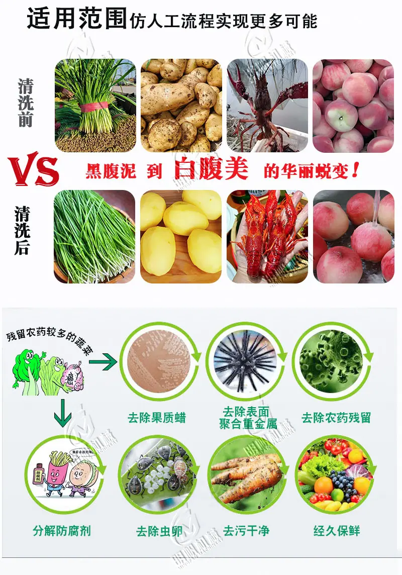 净菜加工线详情_03.jpg