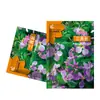 Atacado do Fabricante Sementes de Flor Orquídea de Fevereiro Pacote de Cor Original Sementes de Flores Perenes Sementes de Flor Azul de Fevereiro Zhugecai