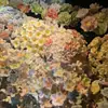 Artículos de Regalo para el Hogar: Flor de Rosa Cerámica Flores Perforadas a Mano, Populares en Xiaohongshu, Cerámica de Jingdezhen Flores Eternas, En Stock Colores Mixtos
