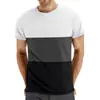 Amazon Verão Tamanho Plus Casual Gola Redonda Manga Curta Top Masculino Transfronteiriço Divisão de Cores Moda Masculina Fitness Esportes Camiseta