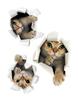 Innovadoras pegatinas de pared tridimensionales de gatitos rotos, dibujos animados de tres gatitos, pegatinas decorativas DIY para baño, inodoro, puerta de refrigerador
