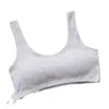 Ropa Interior Hermosa Espalda de Niña del Fabricante, Protector de Pecho de Algodón Puro para Estudiantes de Primaria y Secundaria en Etapa de Desarrollo, Chaleco Top Tubo Deportivo a Prueba de Impactos