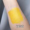 Escultura Cor de Tatuagem Semipermanente Material Tatuagem Sobrancelha Descoloração Cor Labial Linha de Lente de Contato Tamanho de Teste Emulsão de Cor Versão de Alta Definição Amostra Emulsão de Cor Labial