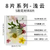 Flores Secas Naturais, Flores Prensadas, Pacote de Material para Artesanato DIY, Folhas, Flores Reais, Marcadores de Página, Espécimes de Plantas, Porta-Retratos, Luminárias de Mesa, Decorações