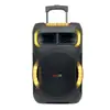 Altavoz Portátil de 12 pulgadas para Exteriores de Fábrica Original Calidad de Exportación Soporta Personalización de Lotes Pequeños Alta Potencia de 40W