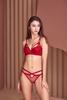 Conjunto de Brasier Sexy de Malla Europea y Americana con Copa Recogida, Parte Inferior Delgada y Gruesa para Mujer
