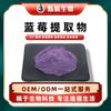 Extracto de Arándano 10:1 Polvo Soluble en Agua de Grado Alimenticio Bebida Sólida/Contiene 25% de Antocianinas en Stock con Envío Gratis Shuohangsheng