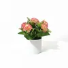 Venda Direta de Fábrica de 5 Arranjos de Flores Artificiais de Cravo, Presente para o Dia das Mães, Vaso de Flores Artificiais Criativo para Sala de Estar e Mesa de Jantar