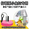 Bomba de Oxígeno USB Portátil Cría de Peces Pequeños Pesca Oxigenación Silenciosa Aireador Casero Pecera Oxigenador Exterior