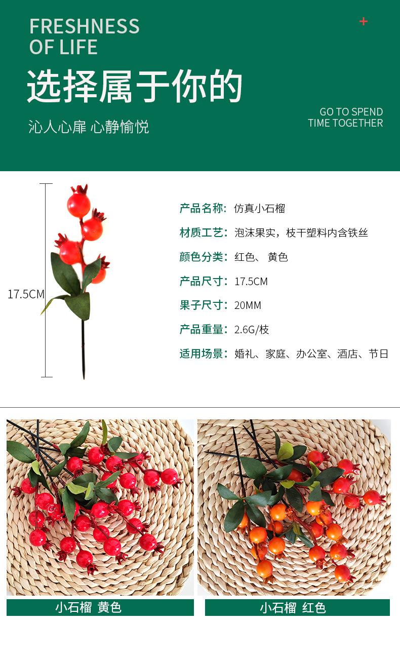 小石榴(2)(1)_04.jpg