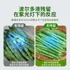 Lámpara de Luz Púrpura de Precisión para Inspección de Vegetales, Alumbre Azul, Solución Azul de Burdeos, Agente Fluorescente, Lámpara de Detección Ultravioleta de 365nm