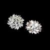 Aleación Estilo Chanel Botón de Vidrio de Cristal Diamante Accesorios de Ropa Suéter Abrigo Hebilla Diamante Botón Chic Diamante