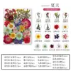 Flor Seca DIY Grabado DIY Paquete de Material Grabado Mascota Pétalo Marcapáginas Flor Real Pegamento Hojas Secas Especimen de Planta