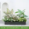 [Serie Y80] Decoración de Partición de Planta Verde Simulada Macetero Maceta Valla Paisajística de Plástico Biónico Diseño