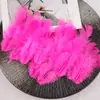 Pluma decorativa DIY al por mayor cabello de mujer pequeña pluma joyería decoración multicolor opcional accesorios de ropa accesorios de juguete para gato