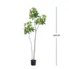 Árbol de Dinero Artificial Grande de Piso Planta Verde Falsa Bonsái para Decoración de Interiores de Oficina y Centro Comercial Arreglos y Proyecto Decoración Suave