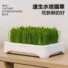 Planta de Vaso Hidropônica Sem Solo de Grama de Gato para Remover Bolas de Pelo, Pessoas Preguiçosas para Cultivar Sementes de Grama de Gato, Bandejas de Mudas, Bolas de Pelo, Suprimentos para Animais de Estimação