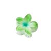 Presilha de Frangipani Colorida Doce de 4cm Venda Quente Transfronteiriça Acessório de Cabelo Doce Acessório de Cabeça Feminino Flor Acessórios de Cabelo Presilha de Cabelo Placa Atacado