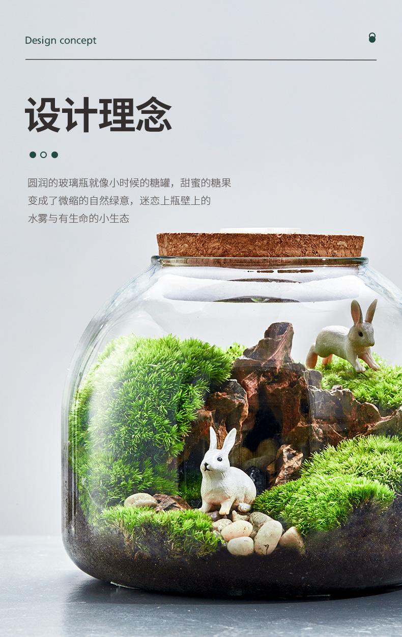 玻璃生态瓶_02.jpg