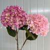 Simulación de 192 piezas de pétalos rotos de hortensia para boda, hortensia boutique blanca verde, hortensia suave para jardín casero
