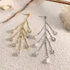 Design de Nicho Levemente Luxuoso, Corrente Exquisita de Zircônia, Brincos Longos com Franjas, Brincos Elegantes, Estilosos e Versáteis em Forma de Gota d'Água