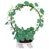 Planta Tortuga de Montaña, Planta Siempreviva Dorada, Planta Trepadora Roja en Maceta con Hojas Redondas, Planta Verde de Fácil Cuidado, Planta Trepadora, Planta de Follaje, Planta Hidropónica de Interior para Balcón y Sala de Estar