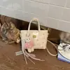 Bolsa feminina de nicho estilo estrangeiro, nova moda 2026, bolsa de mão pequena super popular para trabalho, bolsa de ombro e transversal tipo balde