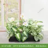 Combinación de paisajismo con plantas verdes artificiales, jardineras, maceteros, decoraciones de flores artificiales, decoración de paisaje con plantas artificiales para escaparates de centros comerciales, interior y exterior