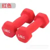 Halteres para Fitness em Casa, Halteres Sólidos de Ferro Fundido Revestidos de Plástico, Equipamento Portátil para Perda de Peso, Pequenos Halteres de Yoga para Mulheres, Halteres de Ferro Fundido