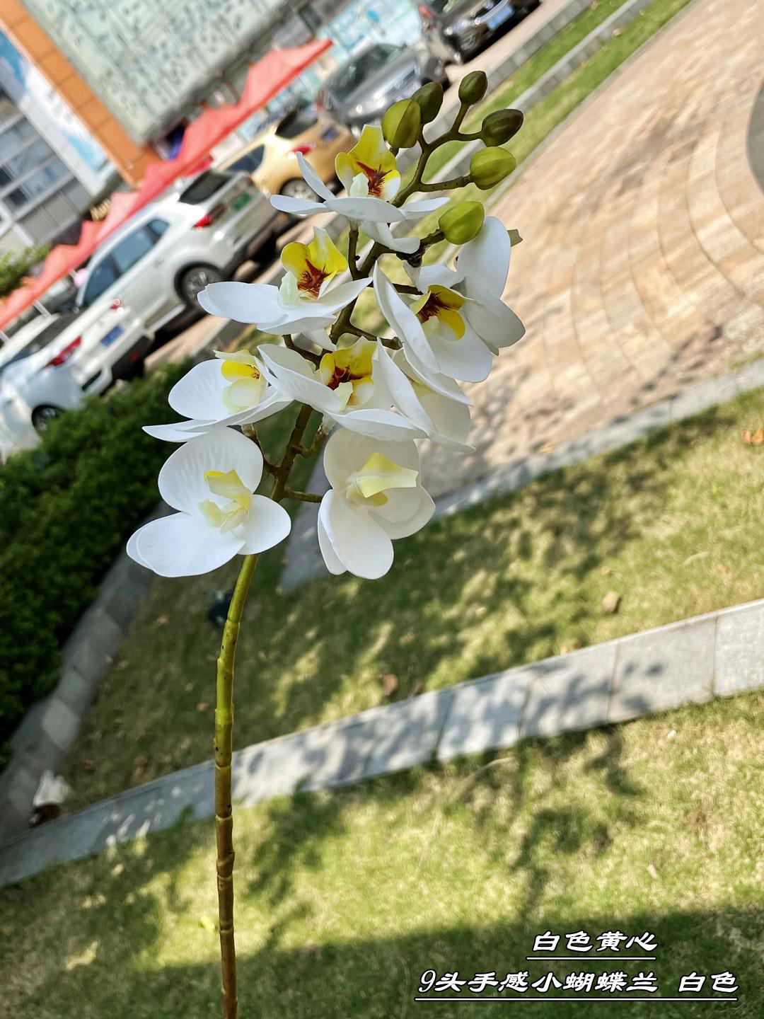 微信图片_20210724103040_副本.jpg