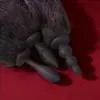 Tapón Anal de Silicona con Cola Sm Negro Herramienta de Desarrollo Anal para Parejas Dispositivo de Masturbación para Adultos Tapón Anal de Silicona Ropa de Cama