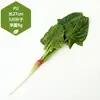Modelos de Frutas y Verduras de Imitación para Montaje de Escenas, Decoraciones de Cocina, Accesorios de Fotografía y Decoración Suave Pastoral