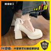 Zapatos Mary Jane para Mujer, Zapatos de Piel, Nuevos Modelos de Piel 2026, Zapatos para Mujer de Tallas Pequeñas, Zapatos de Mujer con Suela Gruesa, Zapatos Blancos de Tacón Alto de una Sola Pieza, Zapatos de Boda