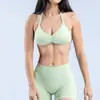Sujetador deportivo de yoga sin costuras de nailon mate de alta elasticidad con cuello halter para mujer, ropa interior deportiva de espalda hermosa para mujer, sujetador deportivo exterior