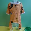 Ropa para Perros Estilo Primavera y Otoño, Trajes de Cuatro Patas para Gatos y Perros Pequeños a Medianos, Teddy, Pomerania, Chihuahua, Ropa para Mascotas Patito Amarillo